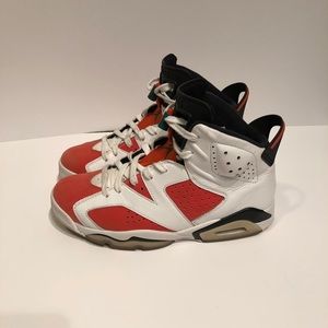 Air Jordan gatorade 6s